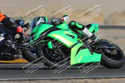 media/Feb-04-2023-SoCal Trackdays (Sat) [[8a776bf2c3]]/Turn 4 (Tree of Life 2pm)/